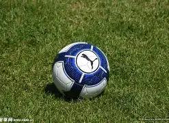 决战在即,海港亚冠生,死战,开云体育app下载,开云体育官网,开云体育官方网站,开云体育平台