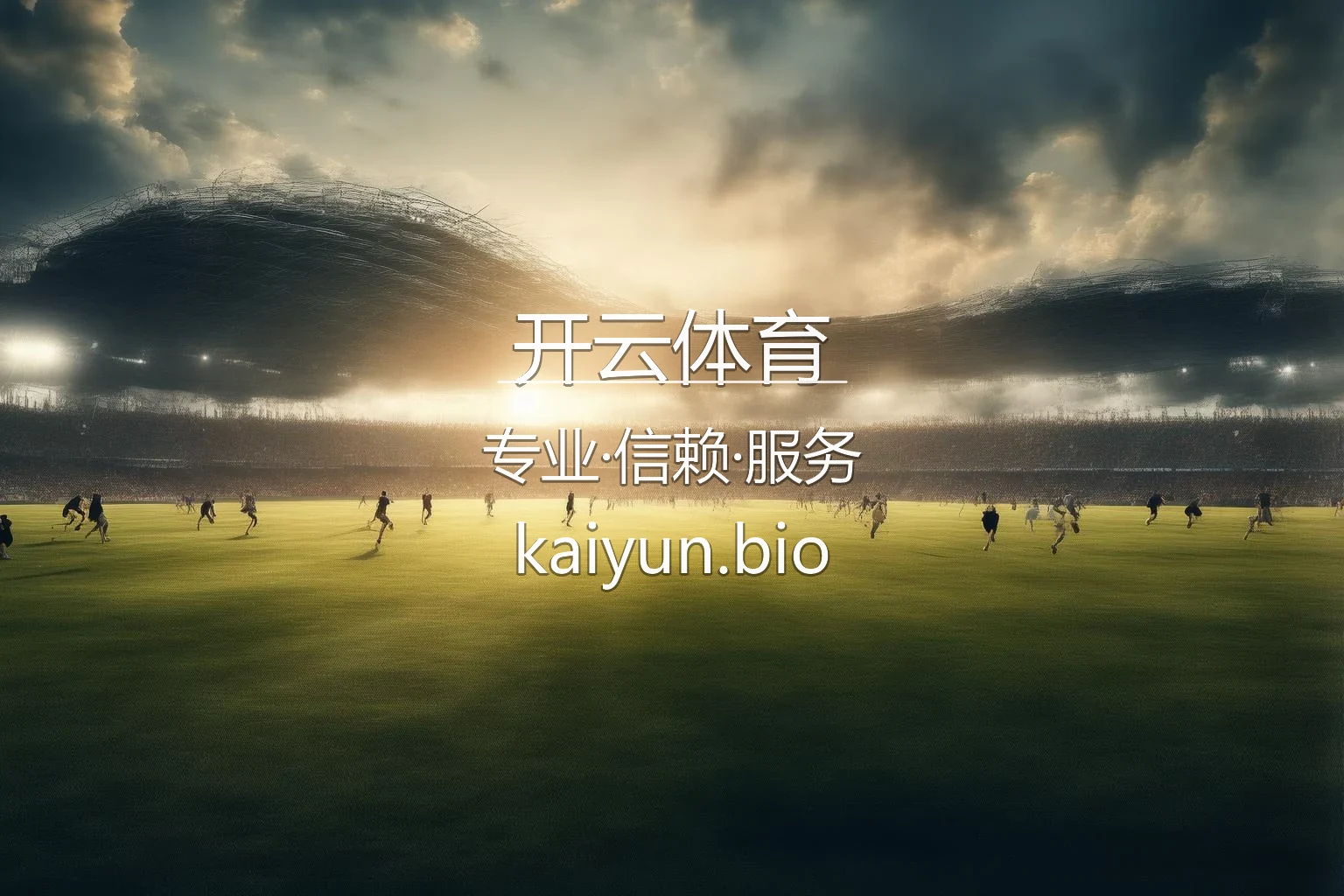 开云体育官方网站