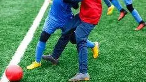 开云体育 资讯 084029 d7k